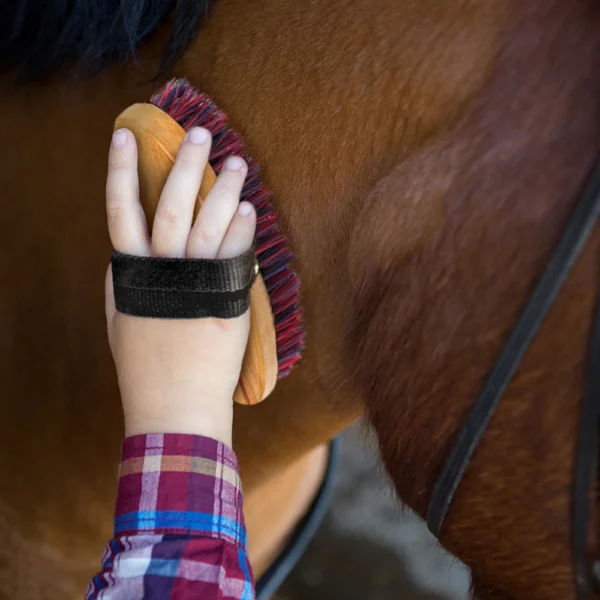 Comprehensive Horse Grooming Kit: Mane, Tail Comb, Hoof Pick & Scraper - Image 6