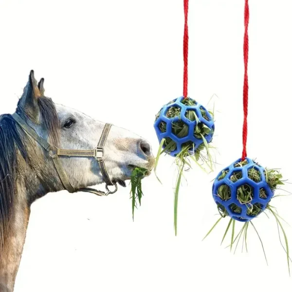 Horse Grooming Kit: Treat Ball Feeder - Image 2