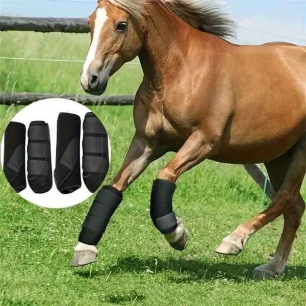 Horse Leg Protectors Boots Equestrian Equipment with Horse Grooming Kit