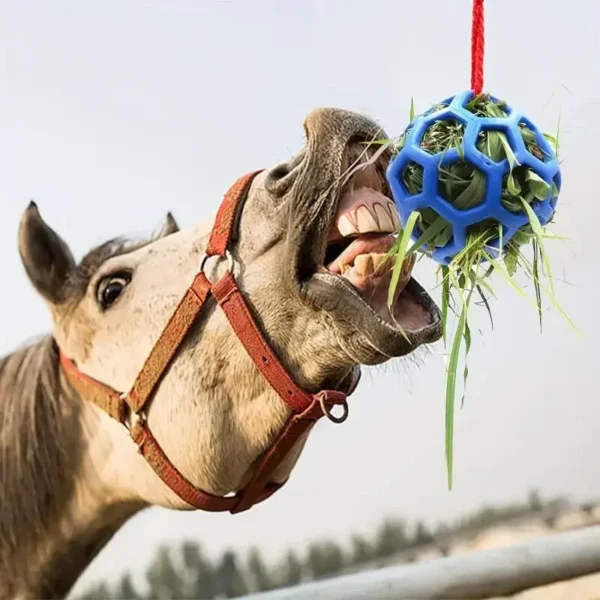 Horse Grooming Kit: Treat Ball Feeder