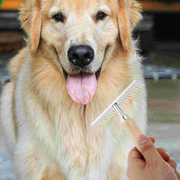 Equestrian Cleaning Brush Horse Grooming Kit for Dogs and Horses - Image 3