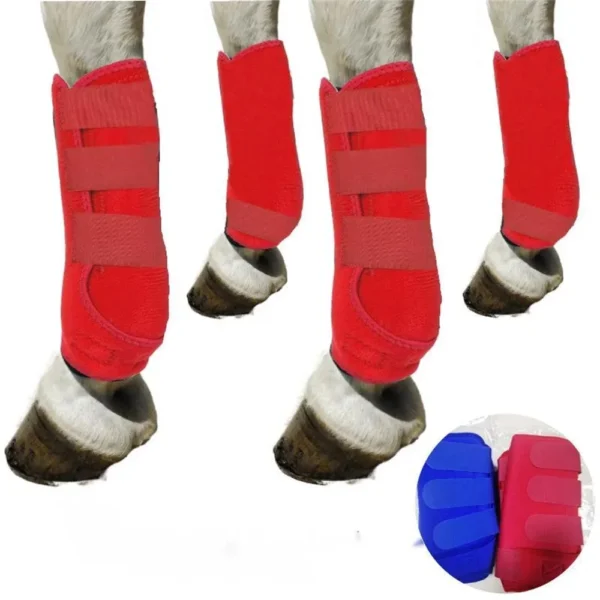 Horse Leg Protectors Boots Equestrian Equipment with Horse Grooming Kit - Image 5