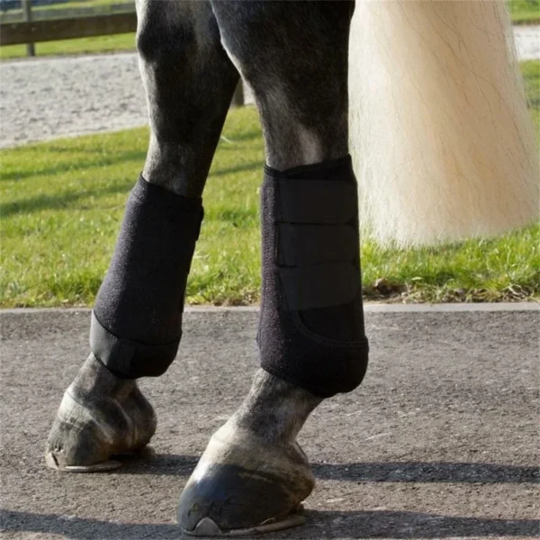 Horse Leg Protectors Boots Equestrian Equipment with Horse Grooming Kit - Image 4