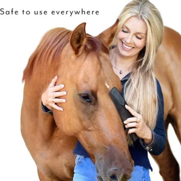 Horse Grooming Kit Massage Brushes Equestrian Care Bath Cleaning Tools